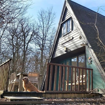Woodpecker - Bungalow 29 Durbuy Exterior foto