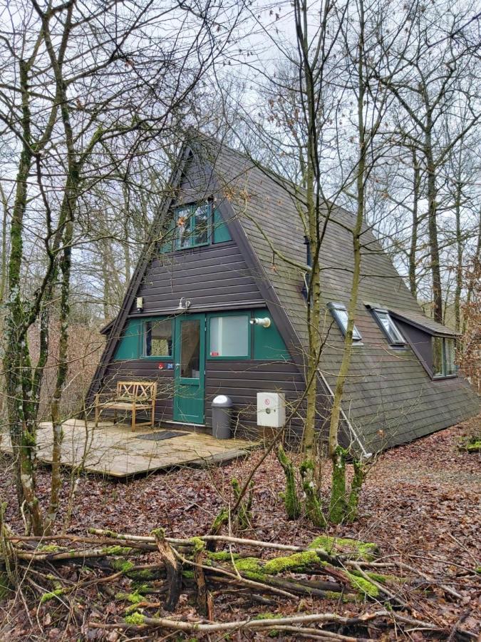 Woodpecker - Bungalow 29 Durbuy Exterior foto